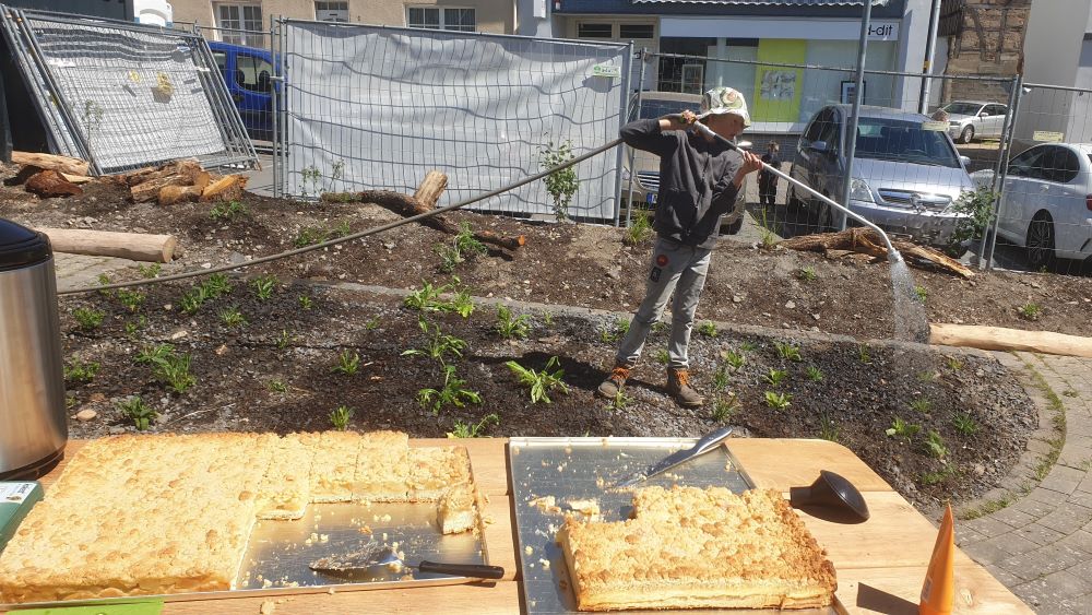 Sinzig Pflanzaktion 10.5.2025 MS 7 web